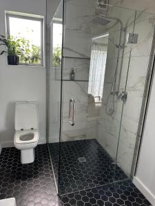 uma casa de banho com um chuveiro e um WC. em Guest Suite St Clair Beach em Dunedin