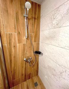 シダにあるLEMAS SUITE HOTELの木製の壁のバスルーム(シャワー付)