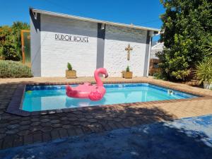 a pink swan in a pool in front of a church at Stay @ Dudok in Oudtshoorn