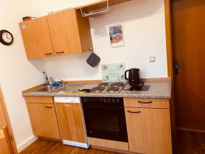 a small kitchen with a stove and a sink at Roseneck am Neulandhof Spöring in Walsrode