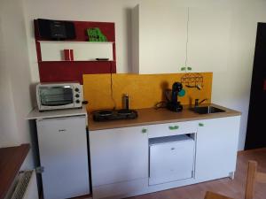 a small kitchen with a counter with a microwave at Kriegwald Apartements in Julbach