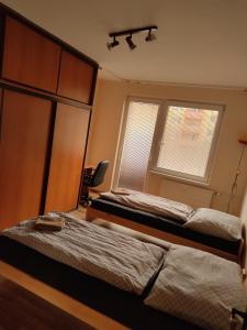 een slaapkamer met 2 bedden en een raam bij Apartment in the Levice in Levice