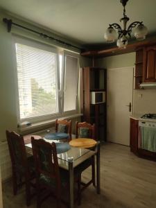 a kitchen with a table and chairs in a room at Apartment in the Levice in Levice