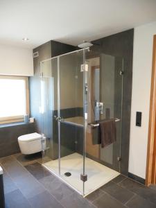 a bathroom with a glass shower and a toilet at Ferienwohnung Böhler in Doren
