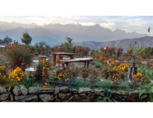 Hilltop Rabong Resort, Sikkim في Ravangla: حديقة فيها ورد ومقعد في الجبال