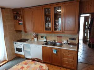 a kitchen with wooden cabinets and a sink at House for nature lovers in Medvode