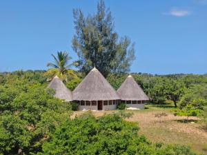 a group of huts with thatched roofs and trees at Nhambavale Lodge in Chidenguele