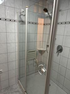 a shower with a glass door in a bathroom at Main Weindorf Unterkunft in Sulzfeld am Main