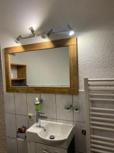 a bathroom with a mirror and a sink at Roseneck am Neulandhof Spöring in Walsrode