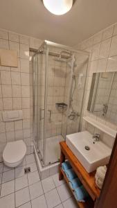a bathroom with a shower and a toilet and a sink at Ferienwohnung Forchtenberg in Forchtenberg