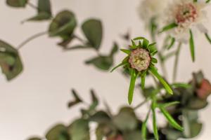 Zahrada ubytování City Life - Idromassaggio nel centro Storico