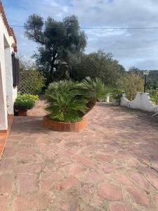 Gallery image of Villa Gioia in Carloforte