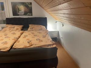 een bed in een kleine kamer met 2 kussens bij Chambre privé 1 in Trier