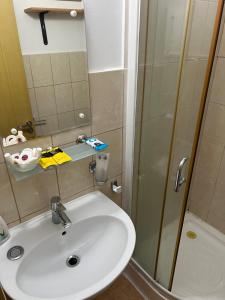 uma casa de banho com um lavatório e um chuveiro em B&B San Michele em Baia Mare