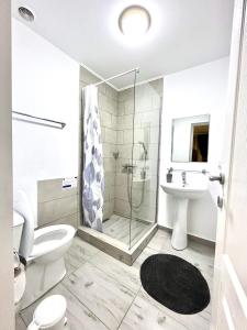 a bathroom with a shower and a toilet and a sink at Casa Munteanu in Mila Douăzeci şi Trei