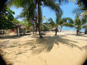 Rainbow Village Cabanas في آروغام باي: شاطئ رملي مع أشجار النخيل والمحيط
