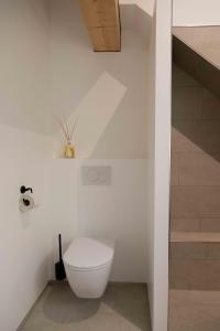 a bathroom with a toilet and a staircase at Chalet Vinzenz, Bildstein- mit privatem Ski- und Fahrradraum in Bildstein