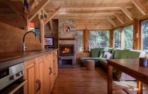 a kitchen and living room with a fireplace in a log cabin at Life House-Semkovo in Semkovo