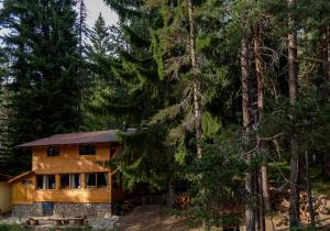 una cabaña de madera en el bosque con árboles en Life House-Semkovo, en Belitsa