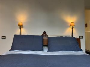 ein Bett mit zwei blauen Kissen in einem Schlafzimmer in der Unterkunft Villa Liberty TownHouse in Siena