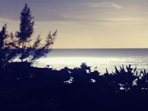 una vista del océano con árboles en el primer plano en Utopia in Palm Beach, en Port Edward