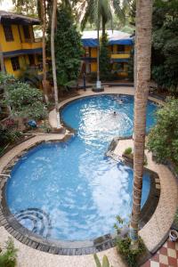 Bazén v ubytování Falcon Resorts by Dia Hotels nebo v jeho okolí + 28 fotografií