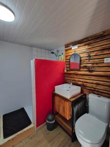 a bathroom with a white toilet and a sink at Chambre d'hôtes Chalet AILLEURS in Molines-en-Queyras