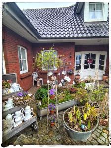 a house with a garden with pots of plants at Ferienwohnung Landidylle in Zodel
