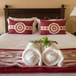Gallery image of Silver Hill Lodge in Kamberg Valley