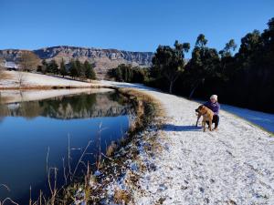 Gallery image of Silver Hill Lodge in Kamberg Valley