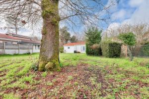 a tree in the middle of a yard at 500m plage- Bassin d'Arcachon- Maison pour 6 in Lanton