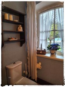 a bathroom with a toilet and a window at Ferienwohnung Landidylle in Zodel
