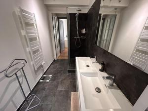 ein Bad mit 2 Waschbecken und einer Dusche in der Unterkunft * Le Cathédrale * in Reims
