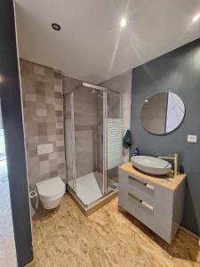 uma casa de banho com um chuveiro, um WC e um lavatório. em Bulle des Fagnes em Philippeville