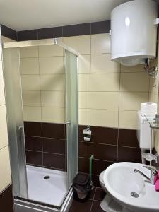 een badkamer met een douche en een wastafel bij Apartman Aurora in Veliko Gradište