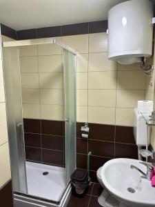 ヴェリコ・グラディシュテにあるApartman Auroraのシャワーと洗面台付きのバスルーム