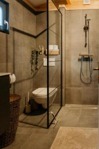 een badkamer met een toilet en een douche bij Romantisch Wellness Boshuisje met Sauna & Hottub in Meijel
