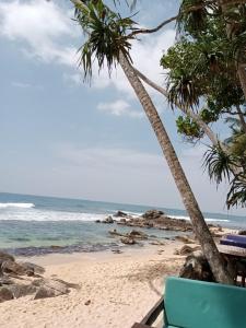 a beach with two palm trees and the ocean at Sunny Seaside Haven in Talpe