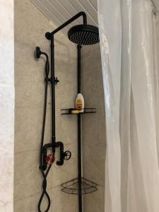 a shower in a bathroom with a shower curtain at Le Madras du Tombolo in Sainte-Marie