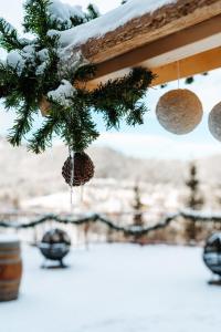 einen Zweig eines Weihnachtsbaums mit Schnee darauf in der Unterkunft Sporthotel am Semmering in Semmering