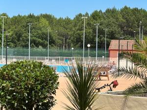 a park with a swimming pool with a dog in the foreground at Résidence Mes Amours d'Enfants - Les Villas du Lac in Soustons