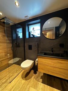 a bathroom with a toilet and a sink and a mirror at Sälen Moderna Lodge in Sälen