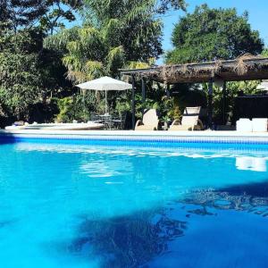 a blue swimming pool with chairs and an umbrella at Casita Primavera / Casa Comalli in Comala