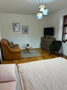 uma sala de estar com uma poltrona e uma televisão em Kutna Hora perfect apartment em Kutná Hora