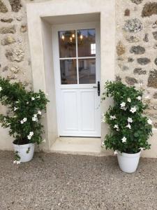 two potted plants in front of a white door at Maison de campagne in Le Baizil