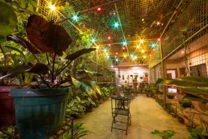 une pièce pleine de plantes et de lumières dans l'établissement Casañas Suites, à Puerto Princesa