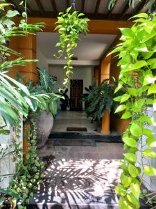 Zahrada ubytování LUMBINI home stay