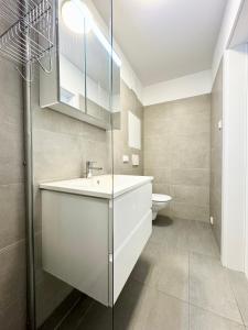 ein Bad mit einem Waschbecken und einem WC in der Unterkunft Kreative Wohnung mit Balkon in Wien
