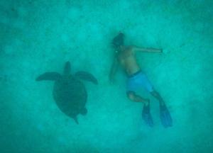 a man swimming next to a turtle in the ocean at Alunan Resort in Perhentian Islands