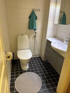 a bathroom with a toilet and a sink at ”Paris” -2BR with sauna&balcony in Tornio